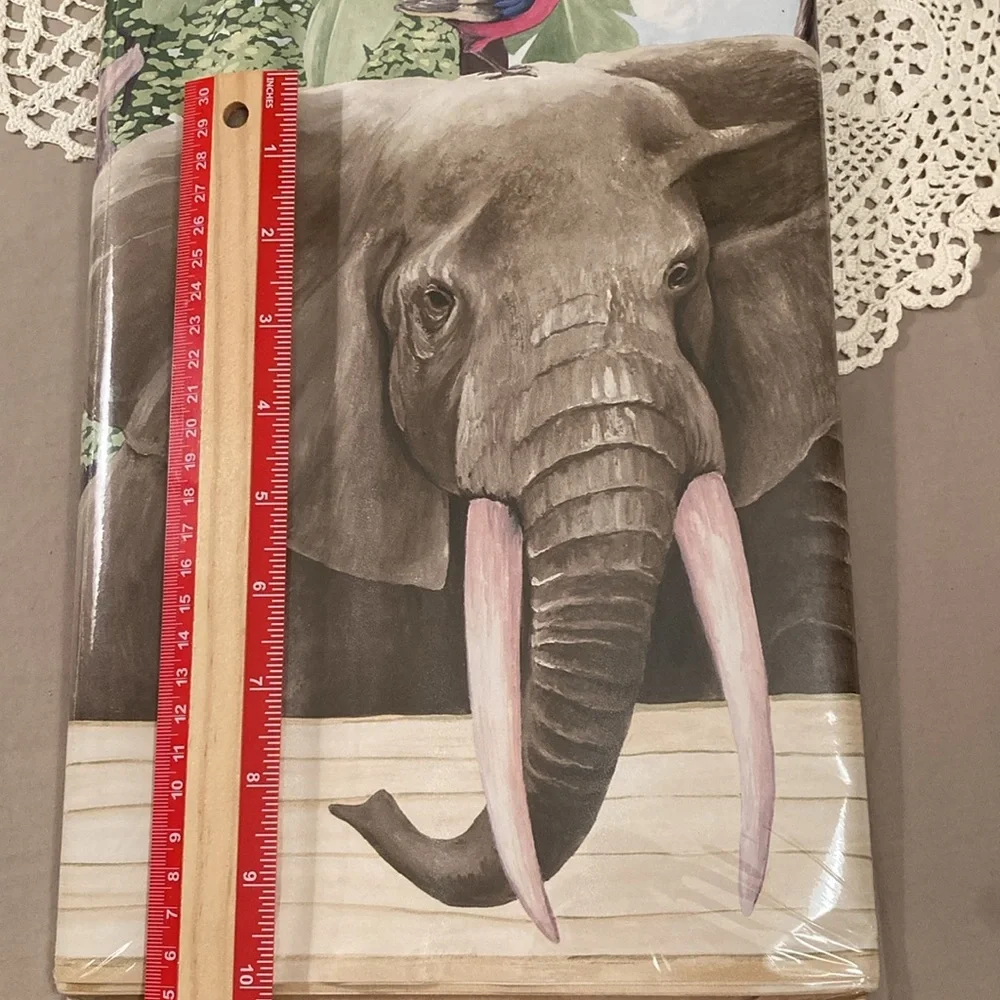 Zoo Animals Wall Border With Giraffes Elephants Zebras Parrots